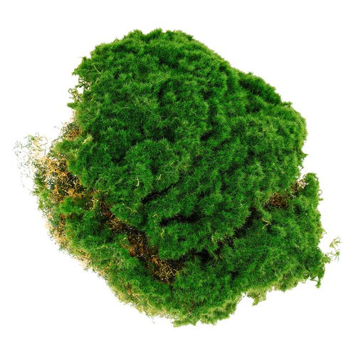 Erba artificiale simulata